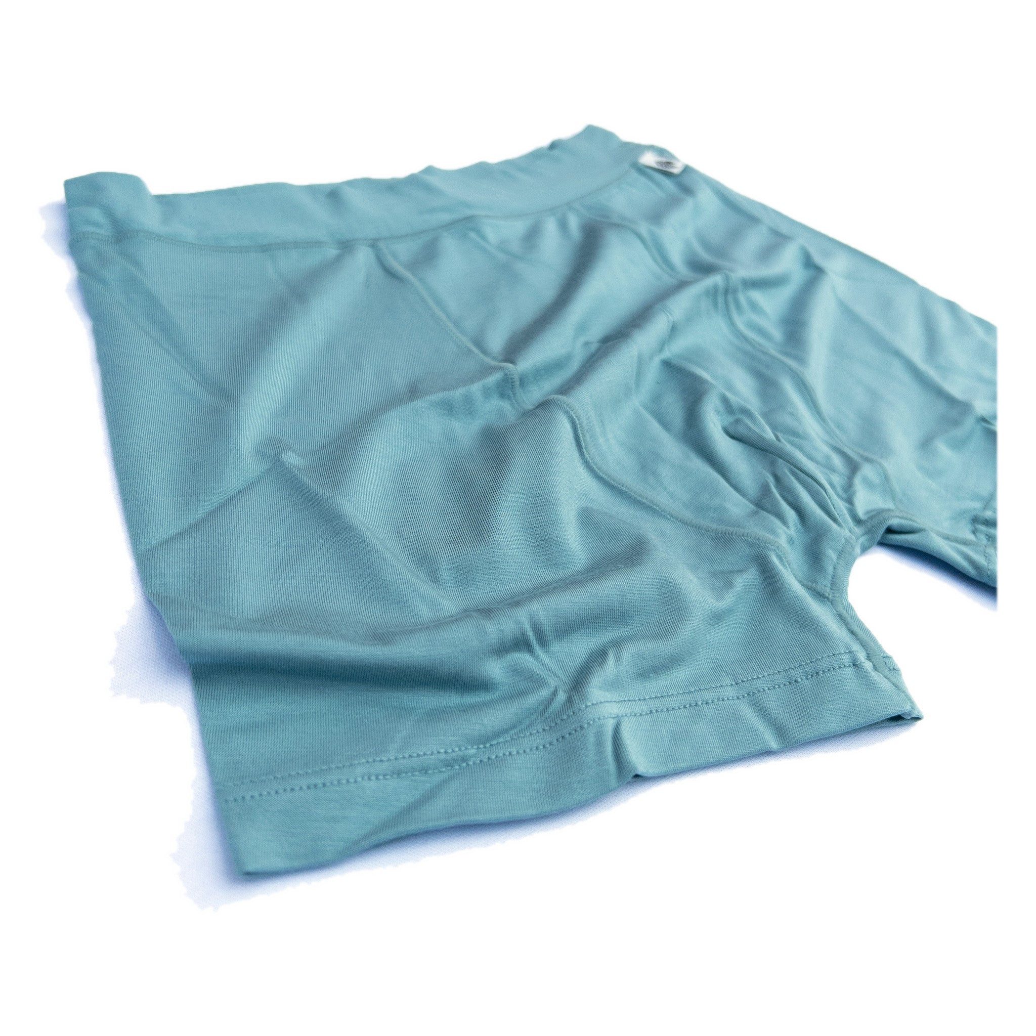 Boxer Briefs Fern